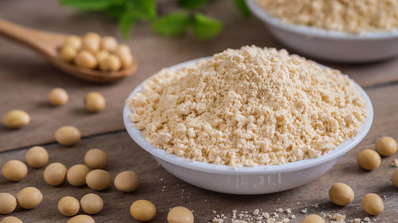 a bowl of soybean milk powder with soy beans surrounding the bowl