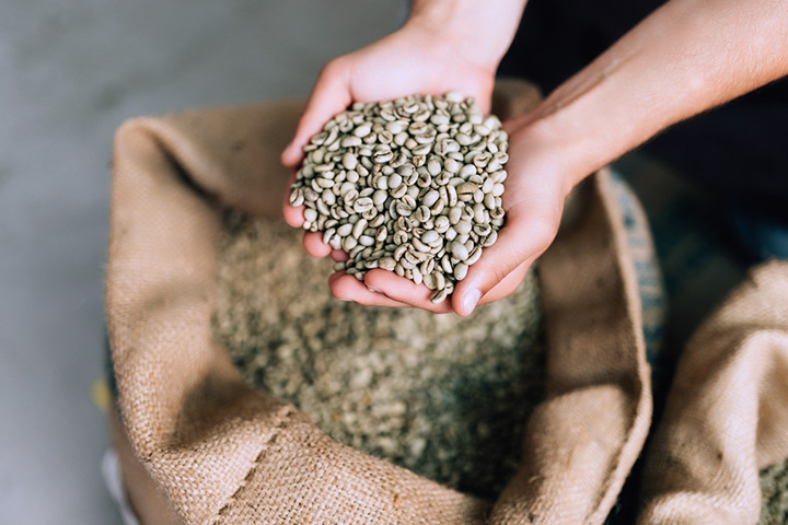 a pair of hands holding a scoopful of green coffee beans