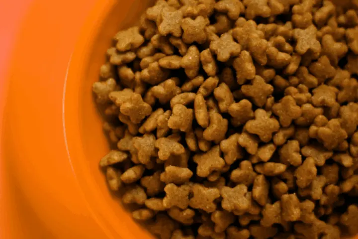 a serving of dog food served on an orange bowl