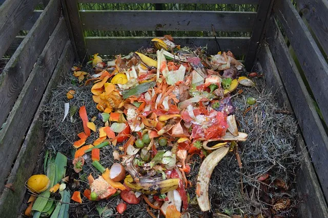 coffee-compost-guide
