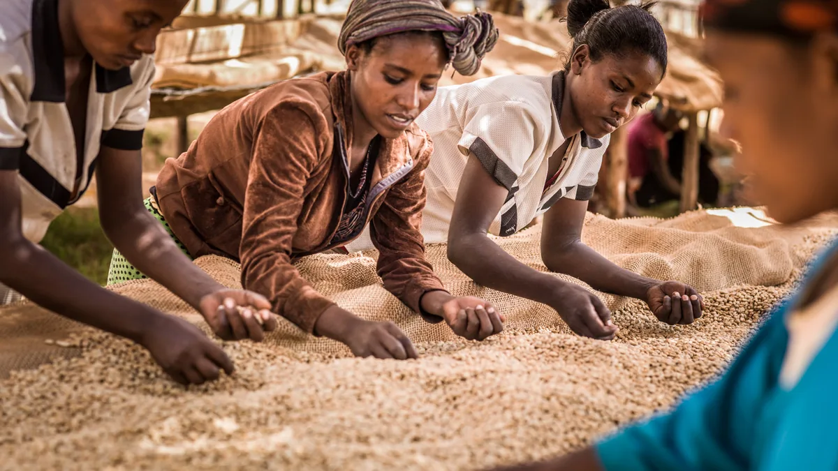 frican-coffee-capsule-production-export-value